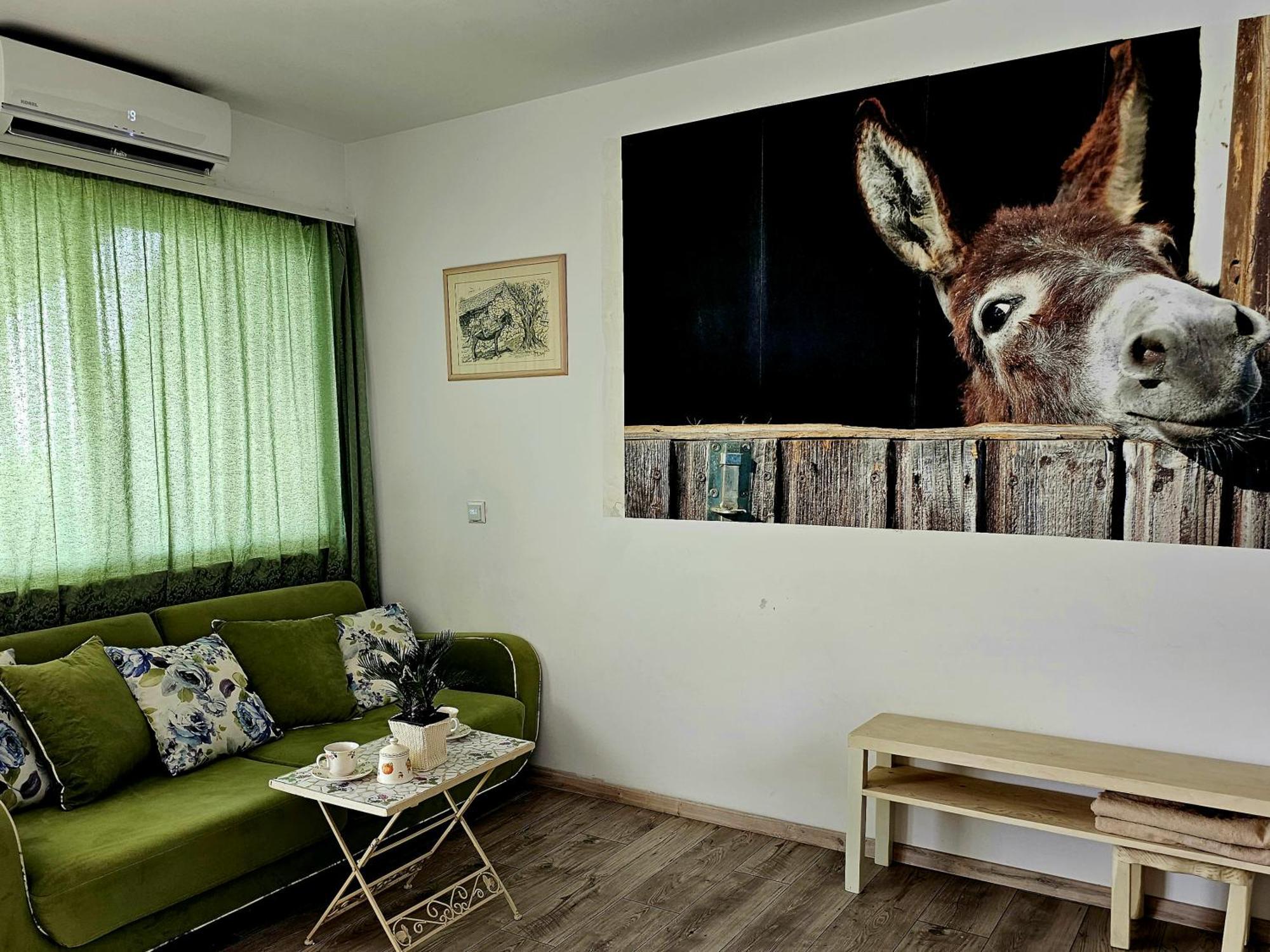 Apartment With A Magical View 斯普利特 外观 照片